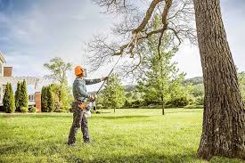 Best Lawn Disease Treatment  in Stroud, OK