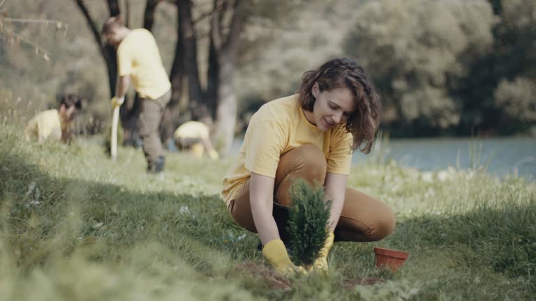 Best Lawn Drainage Solutions  in Stroud, OK