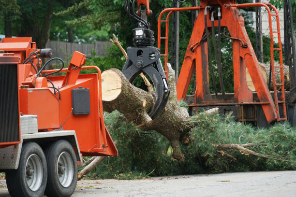 Best Leaf Removal  in Stroud, OK